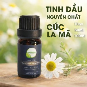 Tinh dầu cúc la mã giảm stress